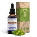 Secrets de l'extrait liquide sans alcool Tribe Chaparral, Chaparral (Larrea tridentata) Supplément de teinture aux feuilles séchées et aux fleurs (2 FL OZ)