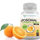 Vitamine liposomique C 1400mg par portion - 180 Capsules de Véggie Haute Absorption Acide ascorbique, Lypo-Sphérique Vitamine C Complex Immune Supplément de soutien avec des antioxydants puissants et collagène Booster