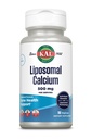 KAL Calcium liposomique 500 mg, supplément de calcium à haute absorption, support de calcium essentiel, végétalien, sans gluten, sans soja, 30 portions, 90 VegCaps