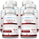 Science approuvée Tribulus Terrestris - 360 capsules - Booste la testostérone, améliore la performance athlétique, soutient la croissance musculaire et la réparation - 95% Furostanol Saponines - Bioperine - Vegan - 6 bouteilles