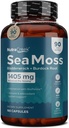 Mousse de mer : Capsules de mousse de mer irlandaise avec Bladderwrack, root de Burdock et BioPerine pour l'absorption. Soutien prébiotique et immunologique : 90 jours d'approvisionnement - 180 capsules