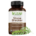 Breaker en pierre de Chanca Piedra Nature, 100 capsules, 1000mg – Soutien traditionnel au rein à base de plantes – Non-OGM, végétalien, sans gluten et bien-être du foie