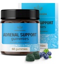 HERBAMAMA Adrenal Support Gummies - Pure Adrenal Complex Supplement for Women with Ashwagandha Root, Rhodiola Rosea & Magnesium - Vegan, Non-GMO - 60 Pectin-Based Blueberry-Flavored Chews