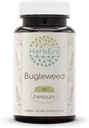 HerbEra Bugleweed 60 gélules, 400 mg, faites avec de l'herbe séchée (Lycopus Virginicus)