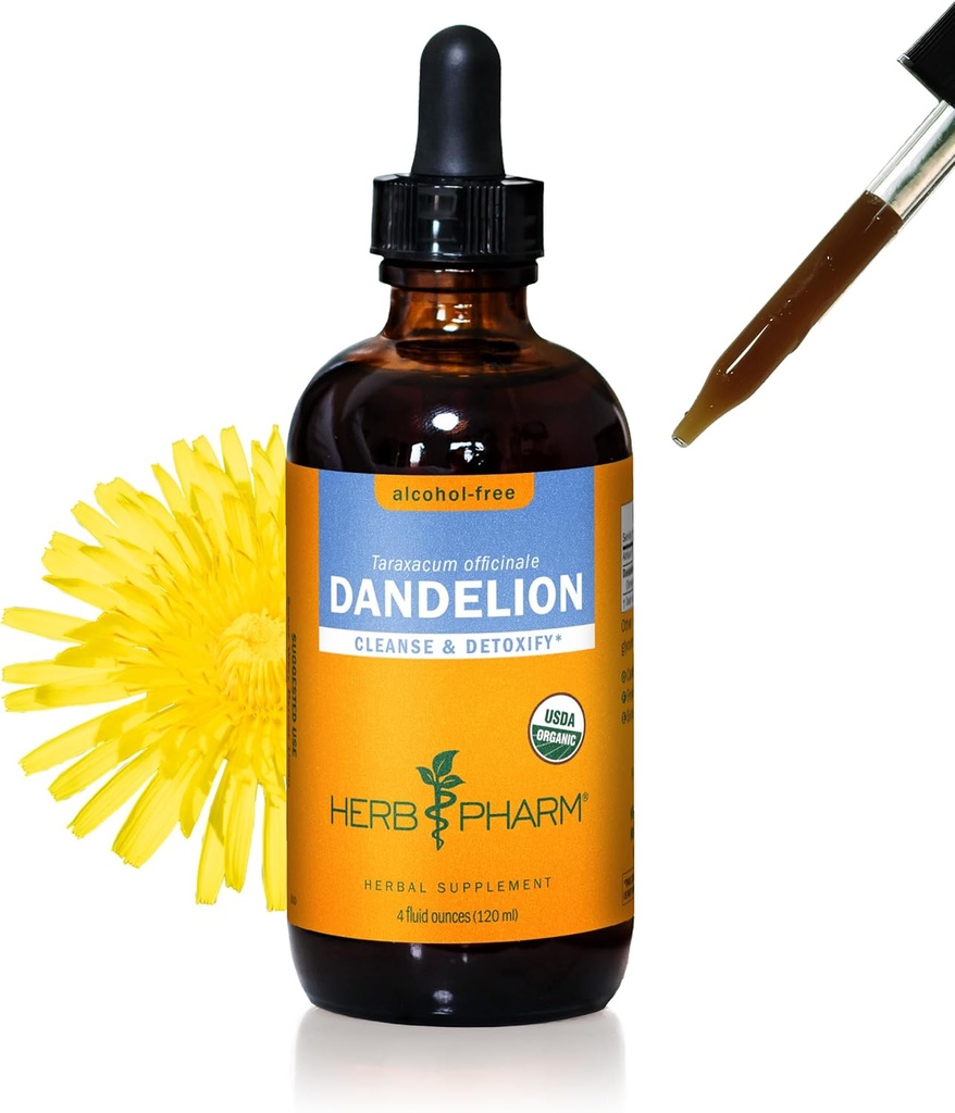 Extrait liquide de dandelion biologique certifié Herb Pharm pour nettoyage et désintoxication, glycérite sans alcool, 4 once