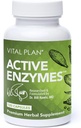 Vital Plan Active Enzymes Supplement by Dr. Bill Rawls - Digestive Enzymes for Gut Health & Digestion - Protease, Bromelain, Lactase, Amylase & Lipase (120 Capsules)