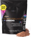 Livingood Daily Plant Collagen + Greens Poudre, Chocolat, 5-en-1 Collagène Support avec protéines de pois, acides aminés, spiruline, Chlorella et vitamine C, ongles capillaires, végétalien, 30 portions