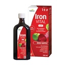 Hübner Iron Vital Liquid Iron Supply Plus Vitamine C, supplément alimentaire pour adultes et enfants, végétalien et sans gluten, saveur de fruits, 250 ml bouteille, 25 portions