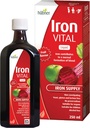 Hübner Iron Vital Liquid Iron Supply Plus Vitamine C, supplément alimentaire pour adultes et enfants, végétalien et sans gluten, saveur de fruits, 250 ml bouteille, 25 portions