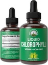 Chlorophylle gouttes liquides - Ultra haute pureté, sans alcool, sans OGM, sans gluten gouttes liquides de chlorophylle supplément. Prends avec l'eau. Déodorant interne + soins de la peau, immunitaire et soutien digestif