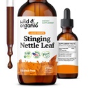 Les gouttes d'extrait de feuille de cailloux sauvage et biologique - support de tract urinaire - supplément de cailloux liquide - Teinture Urtica Dioica - 2 mois - Vegan, sucre et sans alcool - 2 fl oz