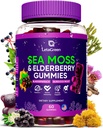 Gommies de mousse de mer d'Irlande – Bradderwrack root Elderberry Vitamine C & Zinc – 60 Seamoss végétaliens Ours gommy pour adultes Enfants Hommes Femmes – Vitamines multiminérales de Elderberry
