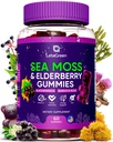Gommies de mousse de mer d'Irlande – Bradderwrack root Elderberry Vitamine C & Zinc – 60 Seamoss végétaliens Ours gommy pour adultes Enfants Hommes Femmes – Vitamines multiminérales de Elderberry