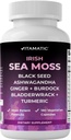 Mousse de mer vitamatique avec huile de graines noires, Ashwagandha, curcuma, Bladderwrack & Burdock - 180 capsules végétaliennes