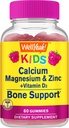Kid's Calcium, Magnésium, Zinc + Vitamine D3 Gummies par WellYeay.Support de santé des os, des muscles et des nerfs, soutien immunitaire pour les hommes et les femmes.