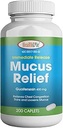 HealthLife® Mucus Relief Guaifenesin Caplets 400 mg, libération immédiate (300 comte) Expectorant à action rapide, mucus mince et losens, soulage la congestion thoracique, la toux, le froid et la grippe