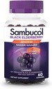 Sambucol Gummies de mûre aînée noire - Elderberry avec du zinc et de la vitamine C pour les adultes, Gummies de Sambucus, soutien immunitaire - 60 Comte