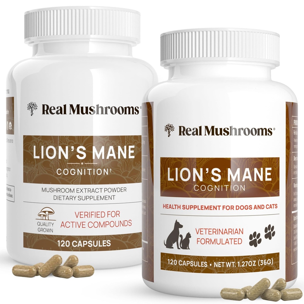 Véritables champignons Lions Lamane pour les humains (120ct) et les animaux (120ct) - Ensemble pour la cognition et l'immunité - Vegan, non-OGM, sans gluten, sans céréales Extraits de champignons