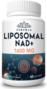 1600 mg Supplément NAD liposomique, 98 % Supplément NAD+ pur, Absorption supérieure, Alternative au riboside de nicotinamide ou NADH pour stimuler NAD+ pour la défense du vieillissement, l'énergie, la longévité,60 Softgels