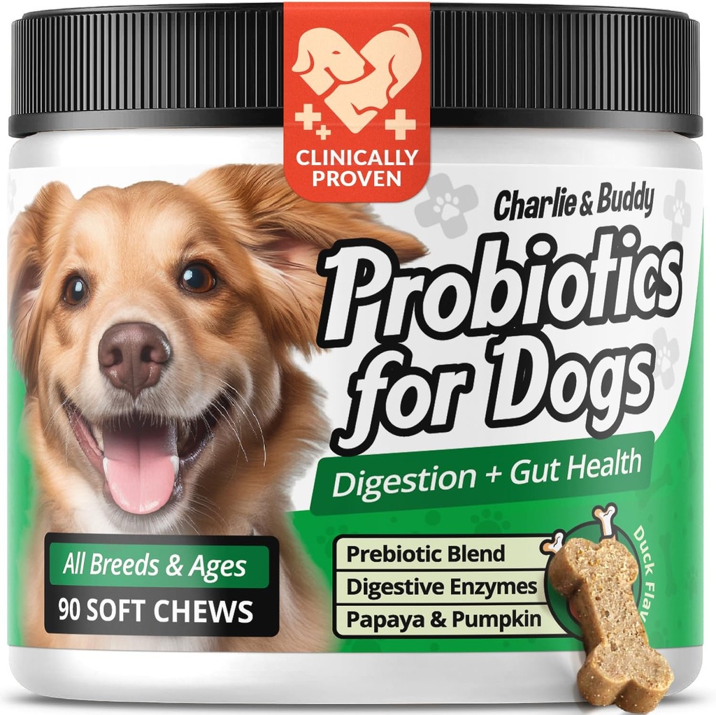 Charlie & Buddy Les probiotiques pour chiens aident Gut Flora, les probiotiques pour la santé digestive avec enzymes digestives, citrouille, et Papaya pour l'estomac upset, 90 Soft Probiotique Chews pour chiens, Arôme de canard