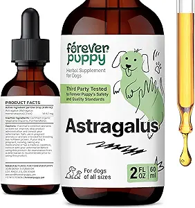 Des gouttes de racine de chiot Astragalus pour chiens - Astragalus Membranaceus Teinture pour la défense immunitaire des chiens - Suppléments liquides pour animaux de compagnie à base de plantes pour le soutien immunitaire et les soins joyeux pour animaux de compagnie - 2 oz