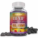 Gummies de chanvre Neuropathie Nerve Support Supplément Haute puissance - Santé naturelle Pure Extra Force avec extrait d'huile de chanvre Edibles végétaliens pour les adultes végétaliens, faible sucre, fabriqués aux États-Unis