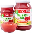 Gel de mousse de mer d'Irlande fabriqué aux États-Unis Riche en vitamines et minéraux