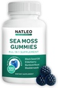 NATLEO USA Gummies de mousse de mer avec mûre, huile de graines noires et racine de dard - végétalien, sans gluten, non-OGM, 1750mg - soutient le bien-être quotidien - Fabriqué aux États-Unis (120 comte)