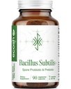 Bacillus Subtilis Probiotique à base de spore — Straine de haute puissance avec prébiotique pour équilibrer Belly.