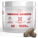 Fadogia Agrestis 1000mg par supplément de service - Extrait de potentiel pour augmenter l'énergie, la performance athlétique et la masse musculaire - Suppléments, fabriqués aux États-Unis (60 capsules)