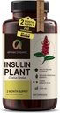 Capsules Costus Igneus (usine d'insuline) de qualité supérieure - Facile à avaler 240 Capsules de légumes (2 mois d'approvisionnement) - Fabriqué aux États-Unis - incluant le programme complet de soutien à la santé