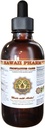 HawaiiPharm Prostate Support Dietary Supplement: Pygeum (Pygeum Africanum) Barque, Saw Palmetto (Serenoa Repens) Berry, Sting Nettle (Urtica Dioica) Teinture de feuille (extrait liquide à base d'alcool) 2 oz