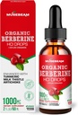 Bio Berberine HCl 1000mg gouttes liquides - avec Ceylan cannelle lait curcuma Chardon Artichaut - Supplément haute biodisponibilité pour hommes femmes - Vegan Sugar Free sans gluten 2fl. oz (60ml)