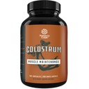 Bovine Colostrum Capsules avec Immunoglobuline G - Colostrum Supplément et Muscle Builder pour Gut Health Joint Support Immune Health Bone Strength et Cerveau Soutien Probiotique Supplément