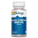 SOLARAY Huile de graines de Currant Noir 600 mg - Approvisionnement en antioxydants, acide linolénique Gamma (ALA), alpha linolénique (ALA) et acide linoléique (LA) - Soutien de la santé de la peau - Garantie de 60 jours, 90 portions, 90 softgels