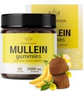 HERBAMAMA Mullein Gummies for Lungs - 2000mg Mullein Leaf for Lung Detox & Cleanse - Vegan, Non-OGM, Supplément de soutien respiratoire - 60 Pectines à base de banane