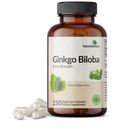 Futurebiotics Ginkgo Biloba Extra Strength Supports Cerveau Fonction & Support Mémoire, 250 Capsules Végétariennes