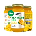MAX FIT Gel de mousse de mer crue (12 saveurs) 24 oz Gel de mousse de mer sauvage d'or rafté de 24 oz de Sainte-Lucie 92 vitamines et minéraux