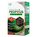 LABO Nutrition Propolis Verte Brésilienne Ultimate - Contient >7% ou 28mg par portion Artepillin C et >5% Flavonoïdes, pour Immune & Soutien Cerveau, Naturel, Haut Concentré & Premium, 60 Capsules de Veg