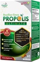 LABO Nutrition Propolis Verte Brésilienne Ultimate - Contient >7% ou 28mg par portion Artepillin C et >5% Flavonoïdes, pour Immune & Soutien Cerveau, Naturel, Haut Concentré & Premium, 60 Capsules de Veg