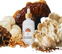 Rainbo - 11:11 Multi Mushroom Tection - 11-en-1 Dual Extract Mushroom Blend - Soutien immunitaire complet, Soutien Cerveau, Lion liquide et la queue de dinde, Vegan, Non OGM, 3,4 fl oz