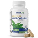 Natural Cure Labs Premium Andrographis Paniculata Extrait 1 200mg avec 100mg Andrographolides Capsules végétaliennes pour le soutien immunitaire et digestif, non-OGM, sans gluten, supplément alimentaire à base de plantes