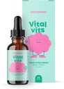 JoySpring Vital Vits - Kids Liquid Multivitamin - 1 fl oz (30 Servings) | Herbal Liquid Vitamins for Kids | Natural Flavor | Toddler Multivitamin with Elderberry, Spirulina, and More