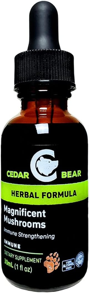 Cedar Bear Magnifique champignons un supplément à base de plantes liquides qui construit le système immunitaire, protège, renforce et équilibre la santé globale 1 Fl Oz