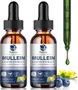 Gouttes de Mullein pour poumons, désintoxication pulmonaire et nettoyage, teinture d'extrait de feuille de Mullein végane avec fraise de chlorophylle, etc, supplément naturel à base de plantes pour les soins respiratoires, immunitaires, 60 portions