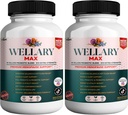 Supplément de soutien à la ménopause Wellary Max, 40 milliards d'UFC mélange probiotique, 90 capsules (2)