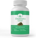 PURE ORIGINAL INGRÉDIENTS Damiana Leaf, 100 Capsules, Toujours Pure, Pas d'additifs ou de remplissage, Verifié en laboratoire