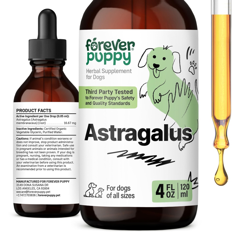 Des gouttes de racine de chiot Astragalus pour chiens - Extrait d'Astragalus Membranaceus pour le soutien immunitaire des chiens - Suppléments liquides pour animaux de compagnie à base de plantes pour l'immunité et l'entretien joyeux des animaux - 4 oz