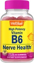 Eh bien oui haute puissance vitamine B6 Gummies - favorise la santé nerveuse, la fonction cognitive, la régulation de l'humeur, le soutien immunitaire et la santé cardiovasculaire - végétalien, non-OGM, sans gluten - 60 Compte