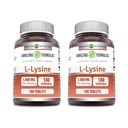 Formules étonnantes L-Lysine 1000mg Acid Comprimés Suppléments Amino-Acide Non-GMO (100 mg)